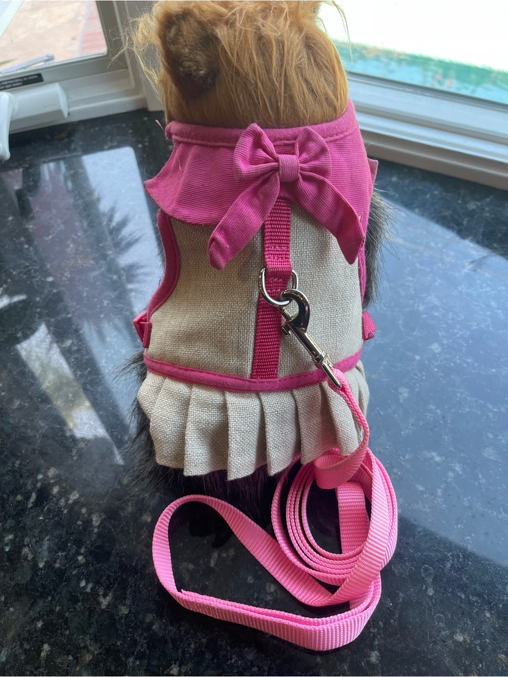 Martha Stewart Pink Trim Beige Pet Harness Dress with Matching Leash